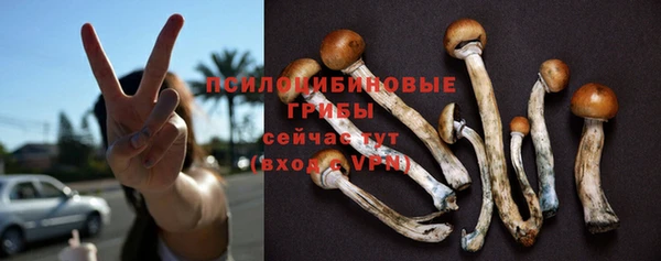 СК Богданович