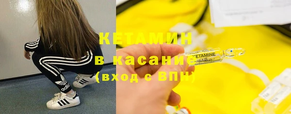 гашик Сосновый Бор